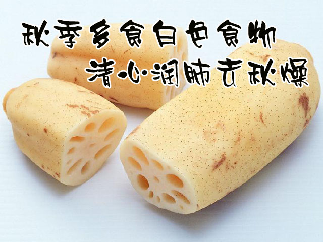 秋季多吃白色食物清心润肺去秋燥
