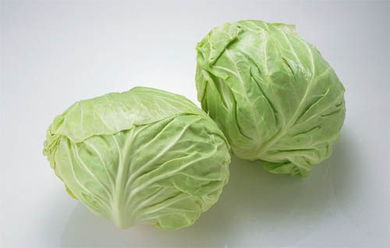 圆白菜可以让胃更健康
