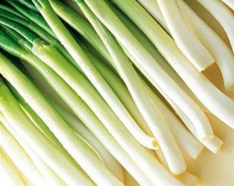 葱白有什麽药用价值