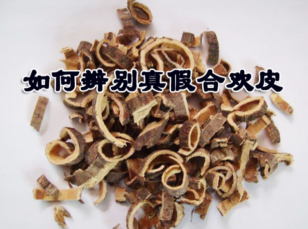 如何识别真假合欢皮