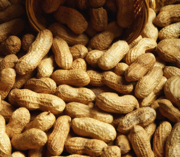  哪五类人不适合食用花生？