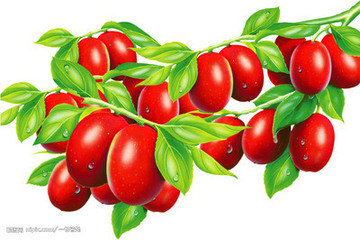 怎样吃才能够帮助解决气血不足  