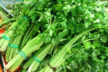 哪些食物是“排毒高手” 