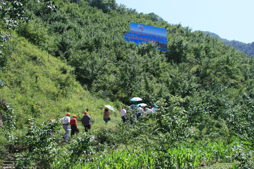 宛西制药GAP药材基地被认定为“首批道地药材保护与规范化种植基地”