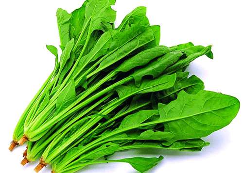 菠菜有助降低罹患大肠癌的概率