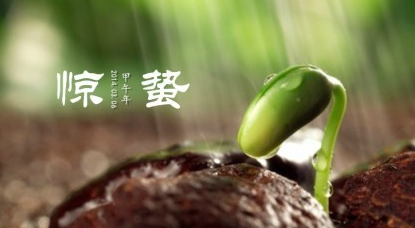 惊蛰为什麽要吃梨？