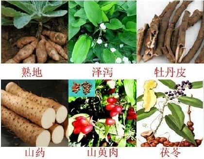 六味地黄丸的经方来源及功能主治