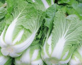 据说连吃三天大白菜排宿便，是真的吗？