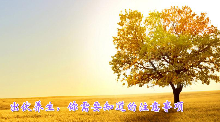 出伏养生，你需要知道的注意事项